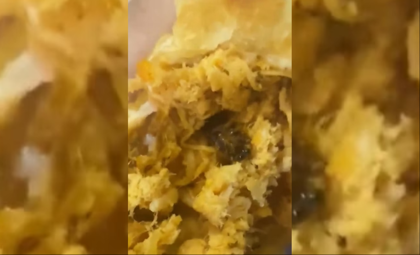 “Eu não acredito, eu vou vomitar”, disse a jovem ao ver o inseto