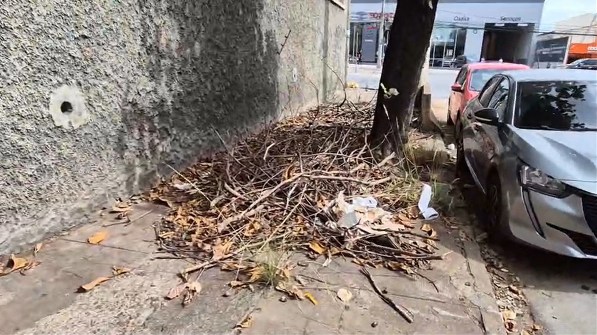 Via, no bairro Cidade Industrial, em Contagem, convive com galhos há, pelo menos, dois meses, segundo denunciante